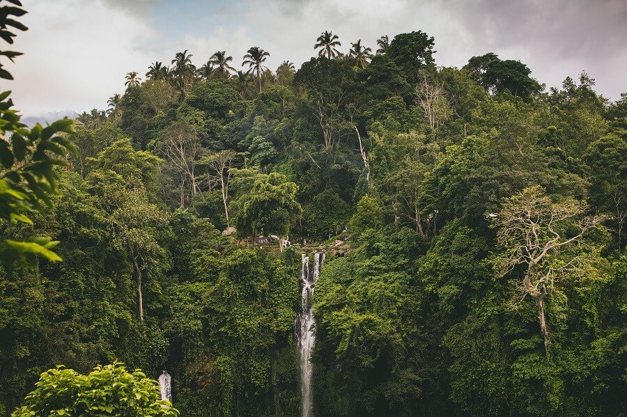 Exciting Trip to The Best Waterfall in Bali: Sekumpul Waterfall